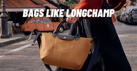 bags like longchamp|why longchamp bags are popular.